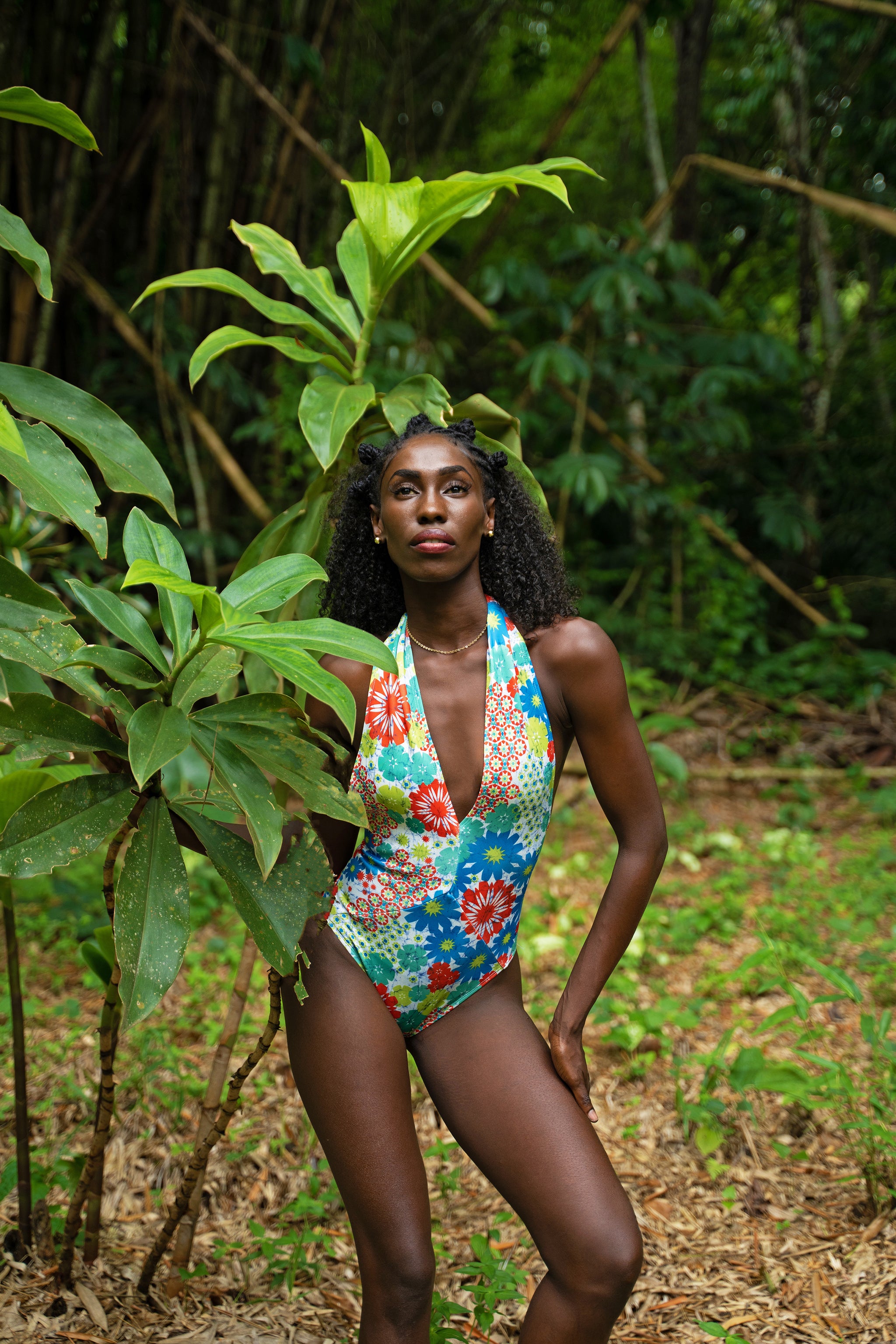 Boho Print Deep V-Neck Swimsuit Women's Plunge Swimsuit in Bohemian Print